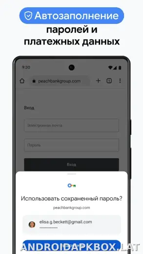 Google Chrome скриншот 6